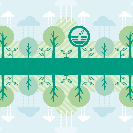 Устойчивое развитие