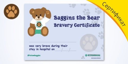 RU-explore-Baggins-the-Bear-images-certificate