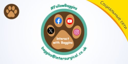 RU-explore-Baggins-the-Bear-images-social-media