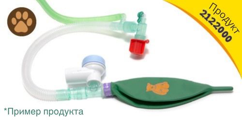 RU-explore-Baggins-the-Bear-images-product